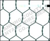 Hexagonal Wire Netting